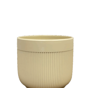 כלי קרמיקה שמנת