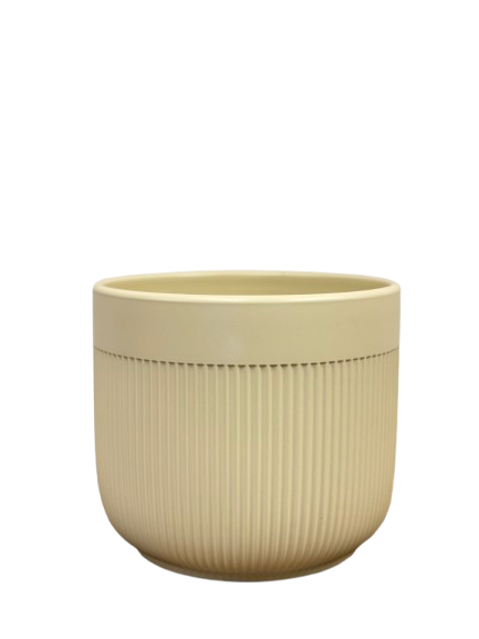 כלי קרמיקה שמנת