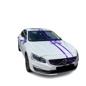 קישוט רכב סגול