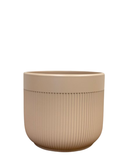 כלי קרמיקה ניוד